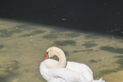 IMG_20260824_121513