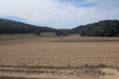 IMG_20260824_123245