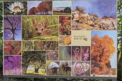 IMG_20260809_100443