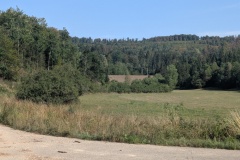 IMG_20260809_101419
