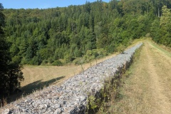 IMG_20260809_101820