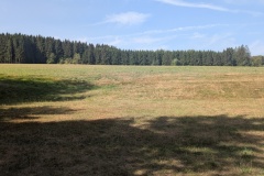 IMG_20260809_111250