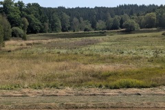 IMG_20260809_120805