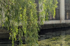 IMG_20260809_132242